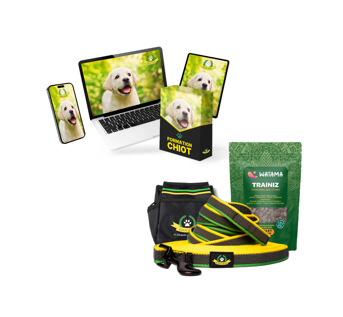 Formation Chiot Educ Dog (VSL)