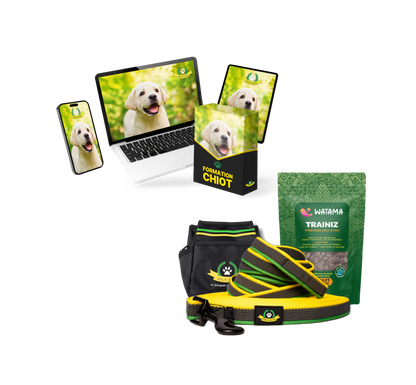 Formation Chiot Educ Dog (VSL)