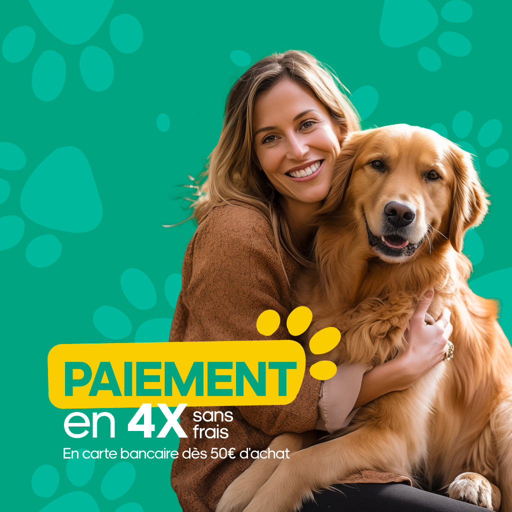 Formation Chiot Educ Dog (VSL)