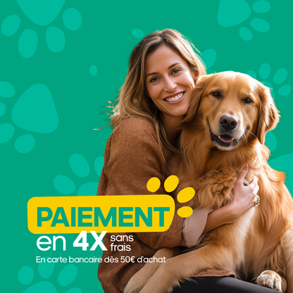Formation Chiot Educ Dog (VSL)