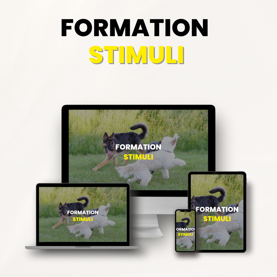 Formation Stimuli