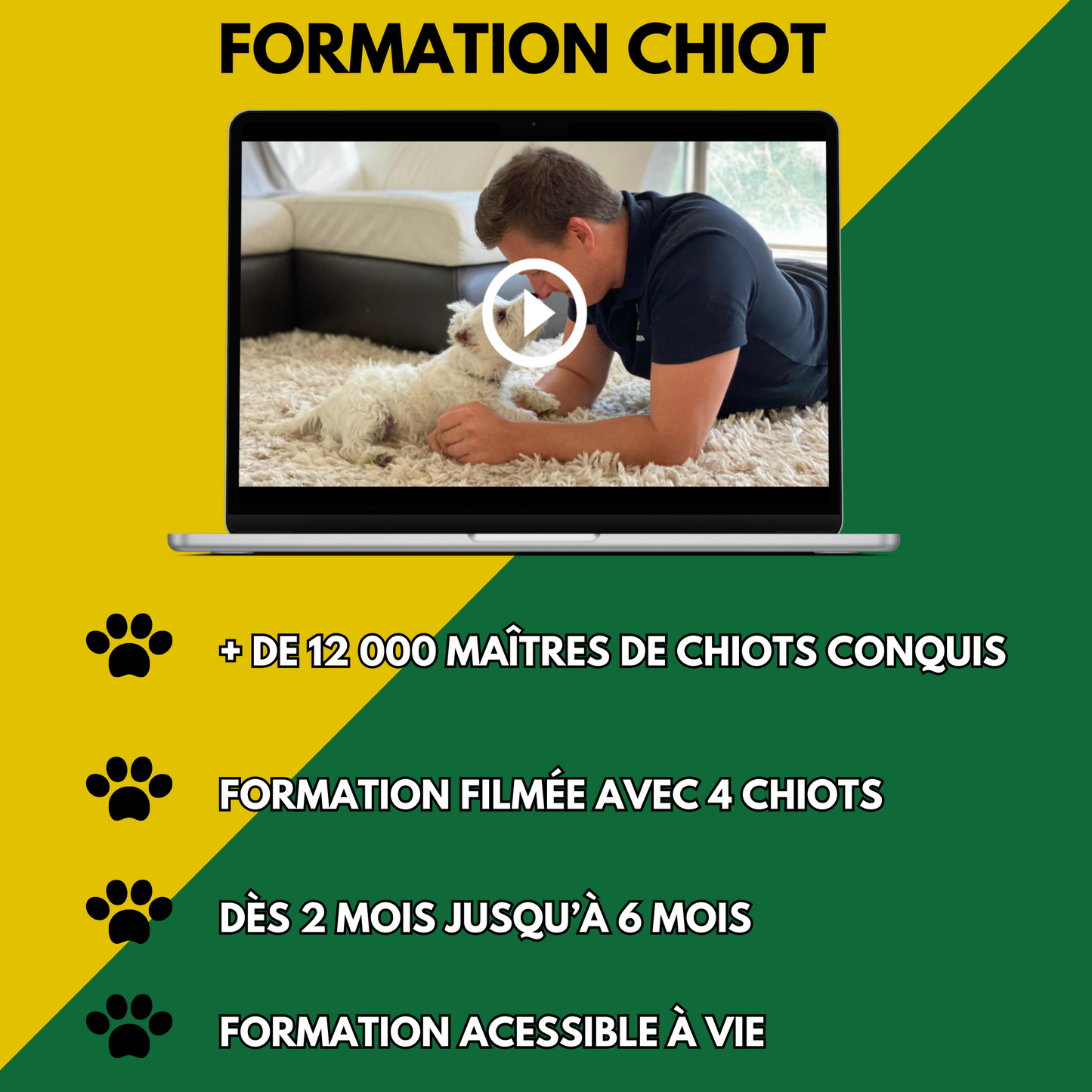 Formation Chiot Educ Dog (VSL)