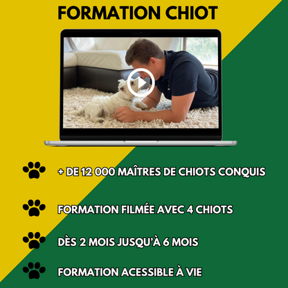 Formation Chiot Educ Dog (VSL)