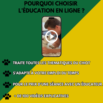 Formation Chiot Educ Dog (VSL)