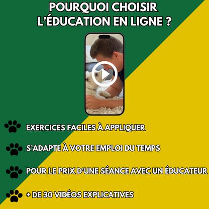 Formation Rappel Educ Dog