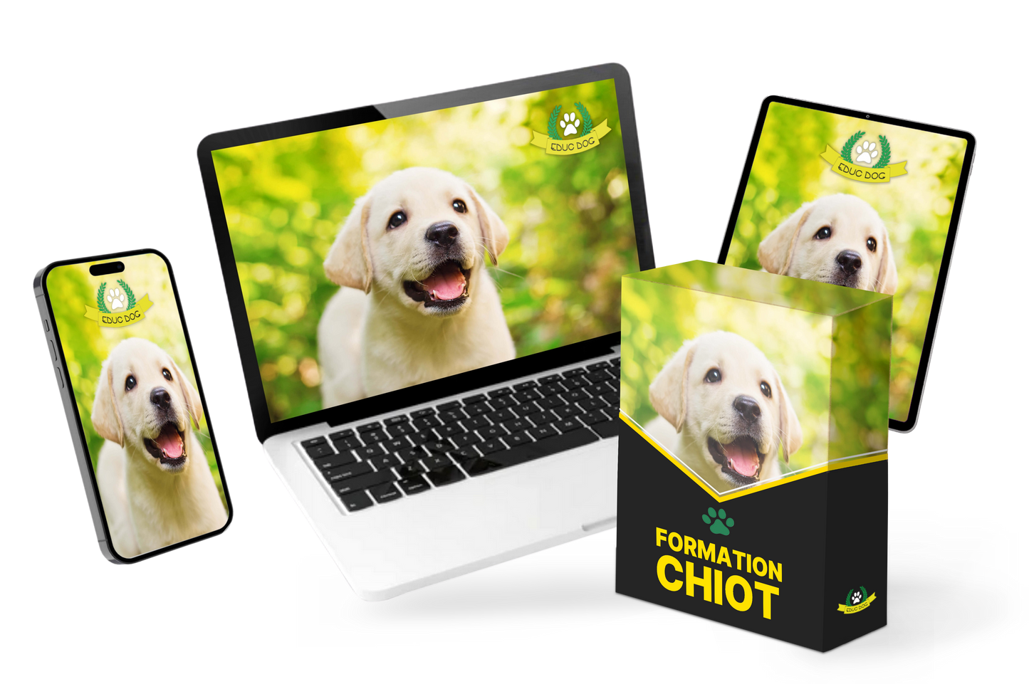 Formation Chiot Educ Dog (VSL)